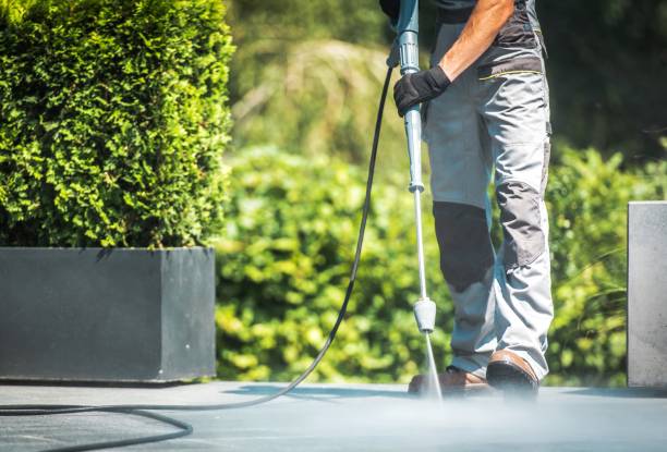 Best Gutter Cleaning  in Buffalo, TX
